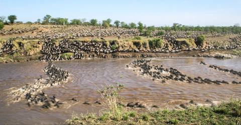 Nairobi Adventure Tour: Best Of East Africa Wildlife & Safaris