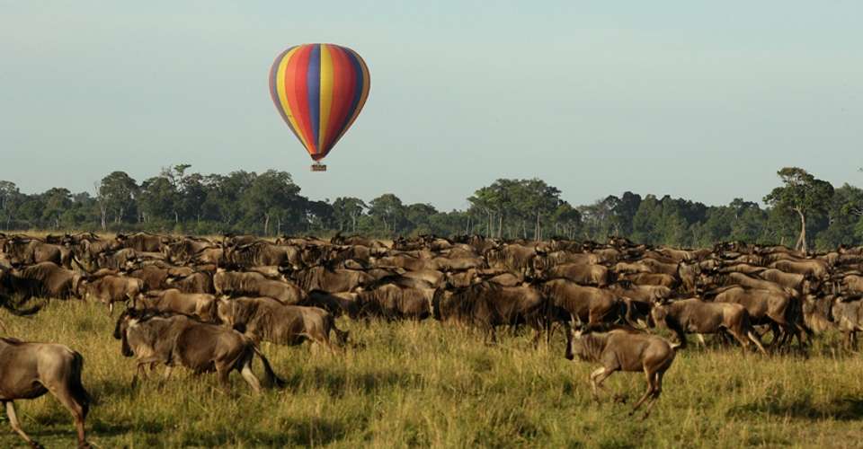 Best of East Africa Wildlife & Safaris - Dahlia Africa - Kenya - Image 3