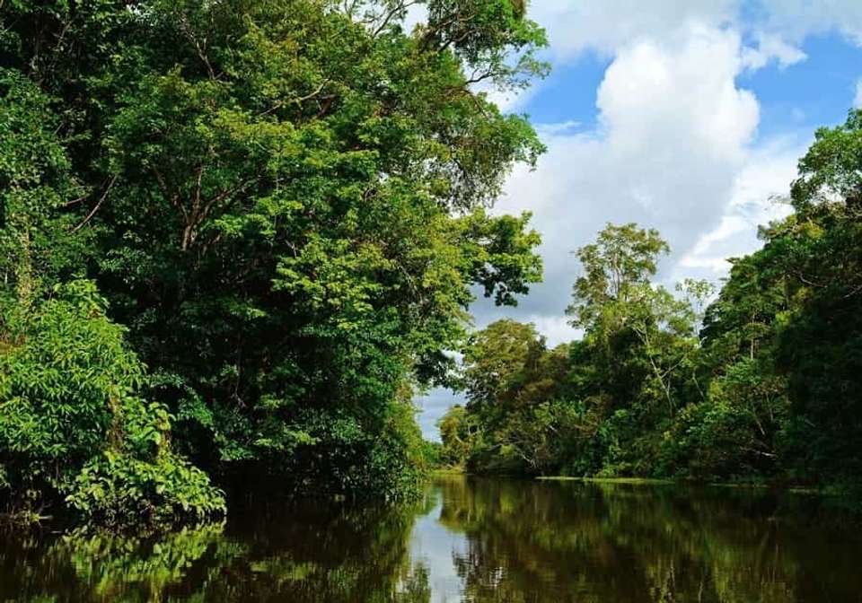 Best of Ecuador and Galapagos Islands - Indus Travels - Ecuador - Image 9