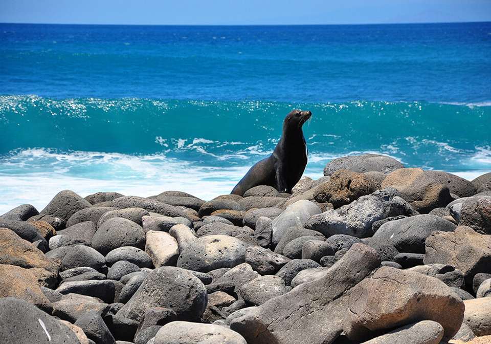 Best of Ecuador and Galapagos Islands - Indus Travels - Ecuador - Image 2
