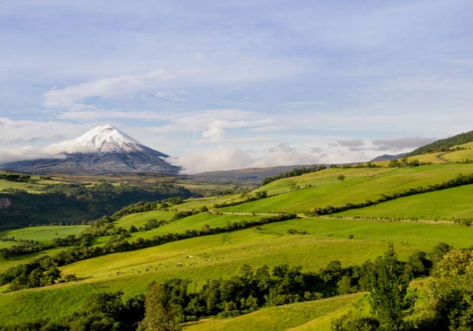 Best of Ecuador and Galapagos Islands - Indus Travels - Ecuador - Image 4