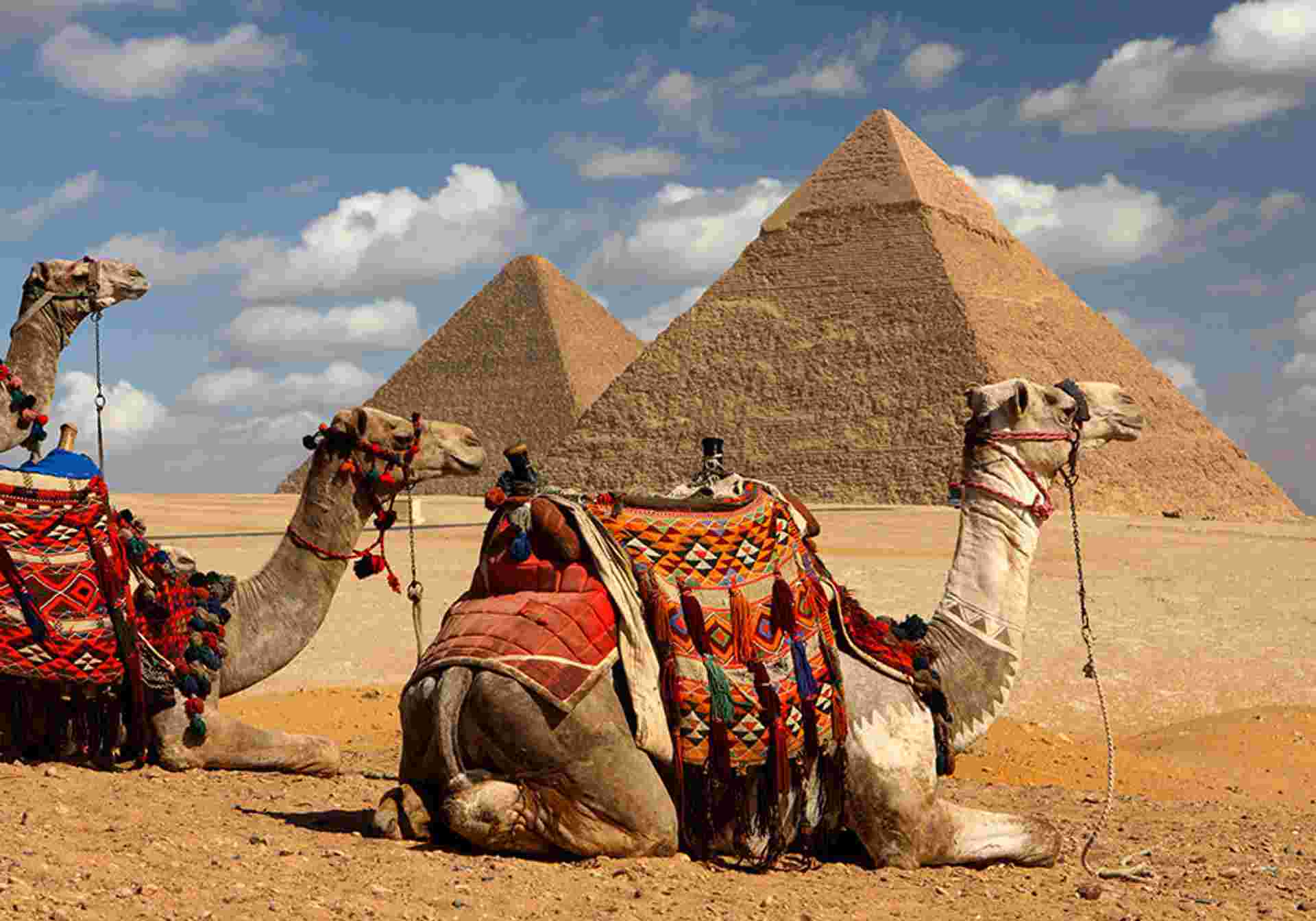 Best of Egypt