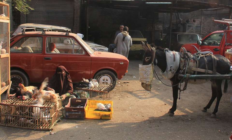 Best Of Egypt And Jordan - undefined - Image 3