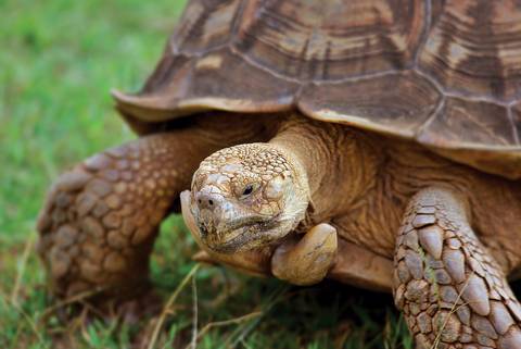 Best Of Galapagos - March 2026