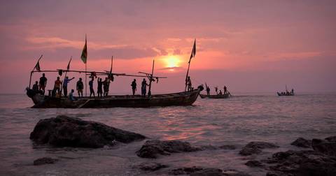 Wildlife Tour: Best Of Ghana