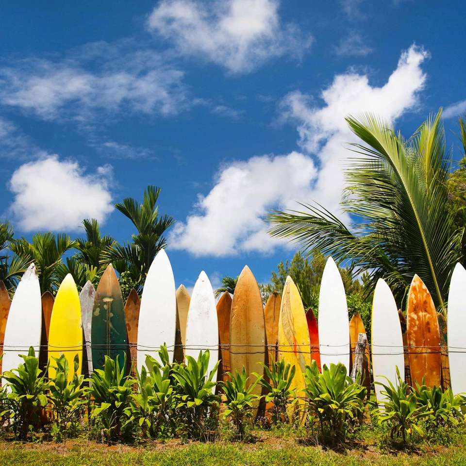 Best of Hawaii - Trafalgar - USA - Image 5