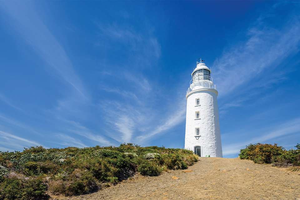 Best of Hobart & Southern Tasmania - Intrepid Travel - Australia - Image 7