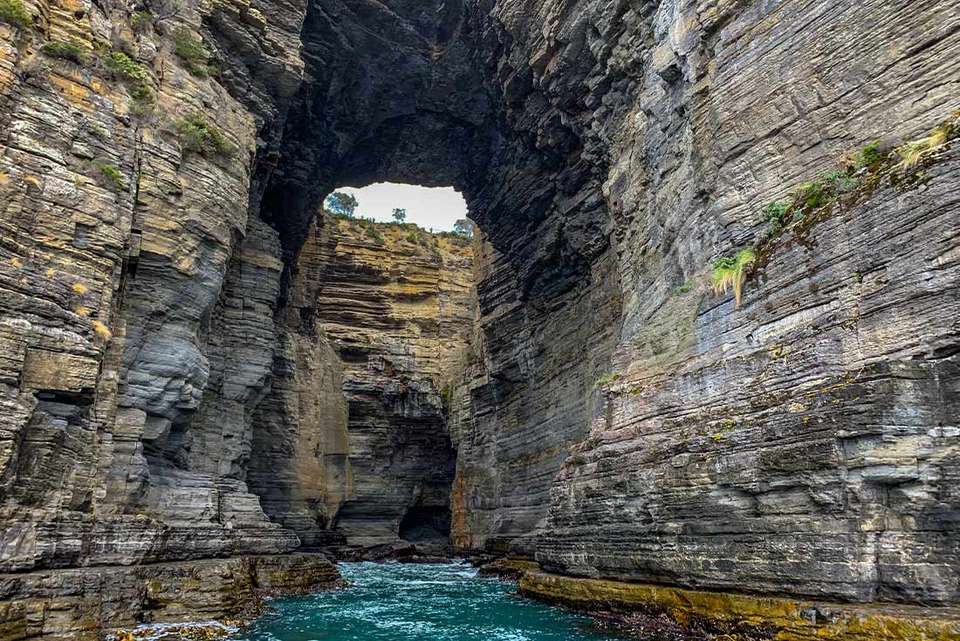 Best of Hobart & Southern Tasmania - Intrepid Travel - Australia - Image 9