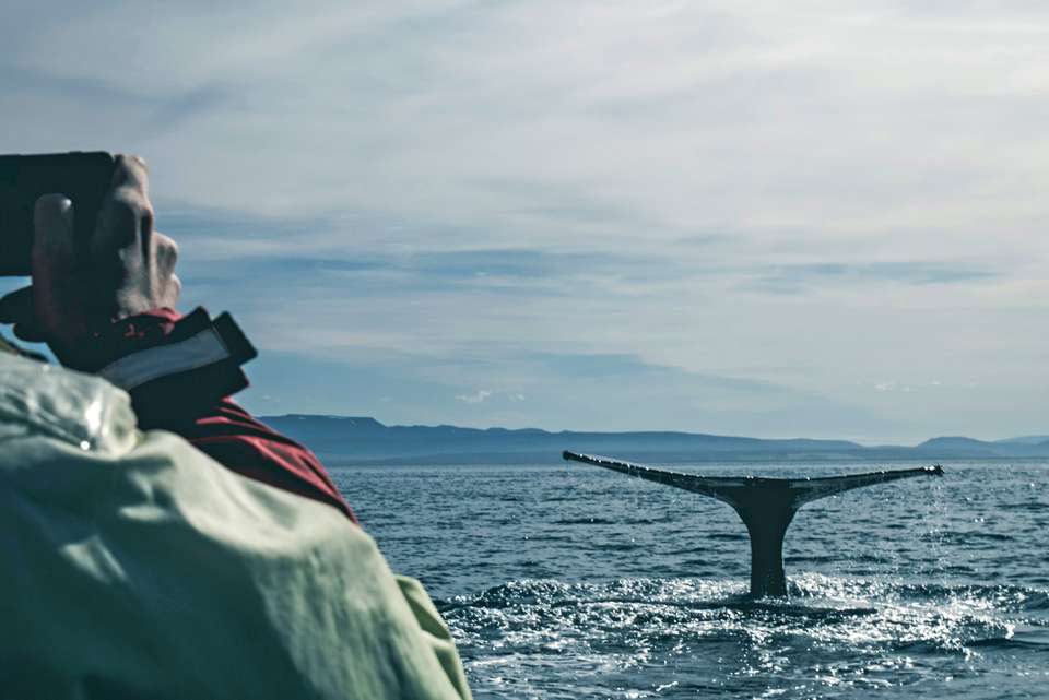 Best of Iceland  - Collette Tours - Iceland - Image 2