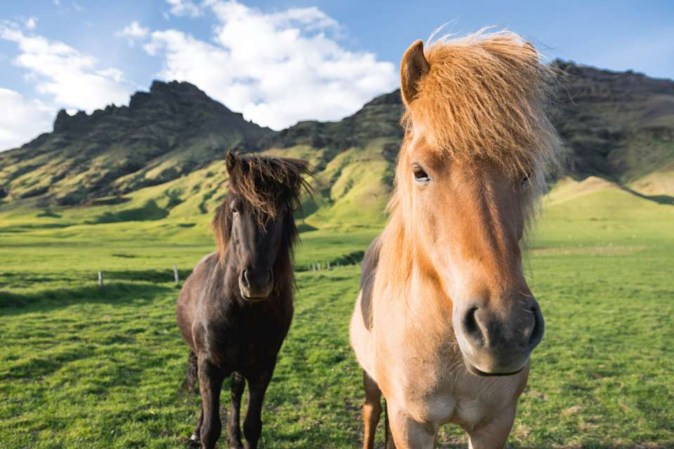 Best of Iceland  - Collette Tours - Iceland - Image 5