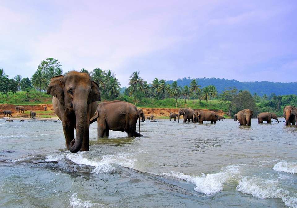 Best of India and Sri Lanka - Indus Travels - India - Image 3