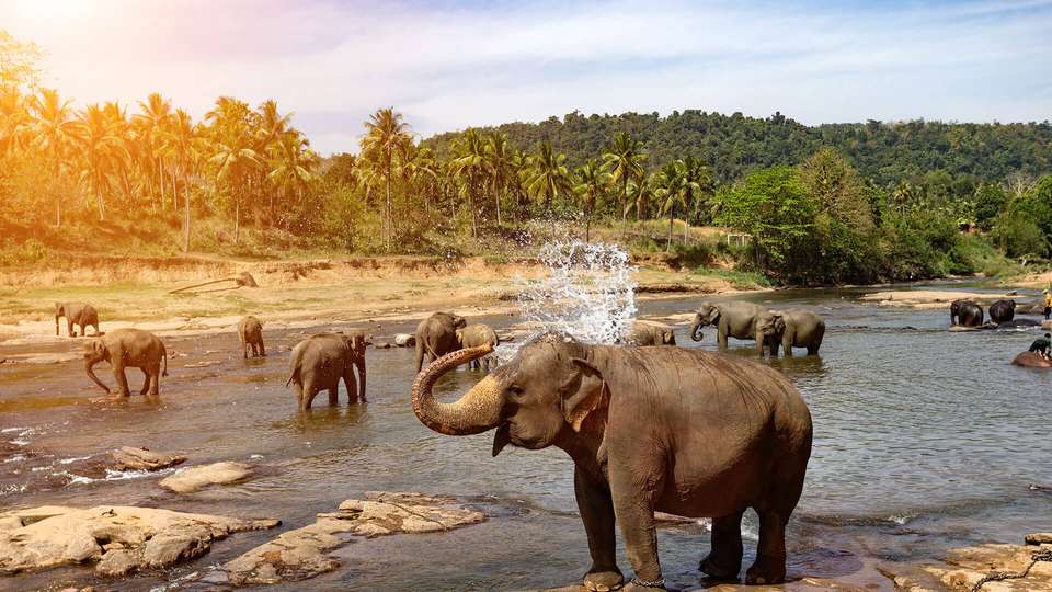 Best of India and Sri Lanka - Indus Travels - India - Image 8