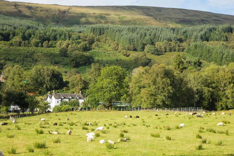 Best of Ireland and Scotland trip - alternative tour available