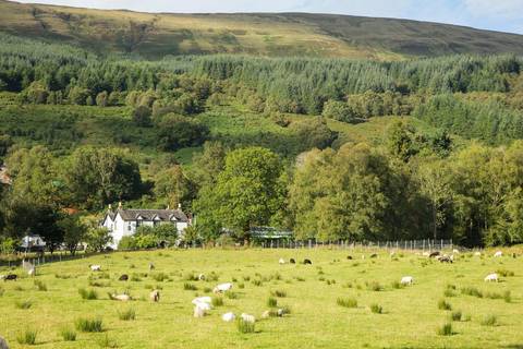 Best Of Ireland And Scotland - July 2026