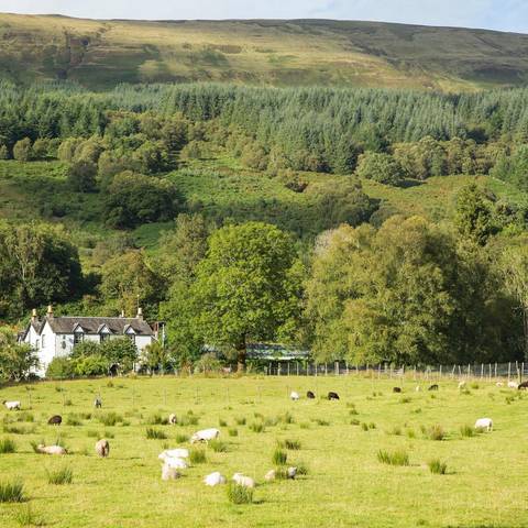 Europe Travel Deals: Best Of Ireland And Scotland - Signature
