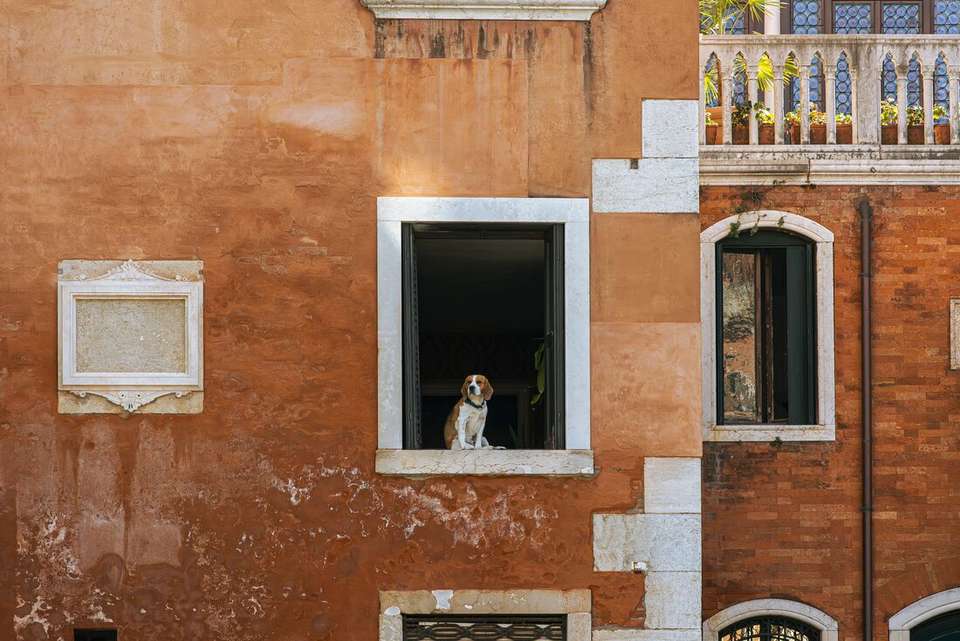 Best of Italy - Intrepid Travel - Italy - Image 4