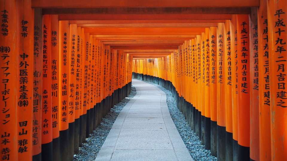 Best of Japan - Indus Travels - Japan - Image 5