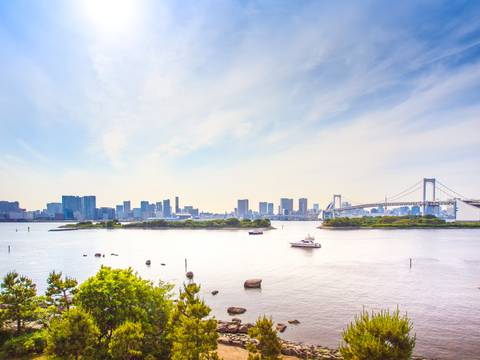 Best Of Japan - 8 Days - March 2026