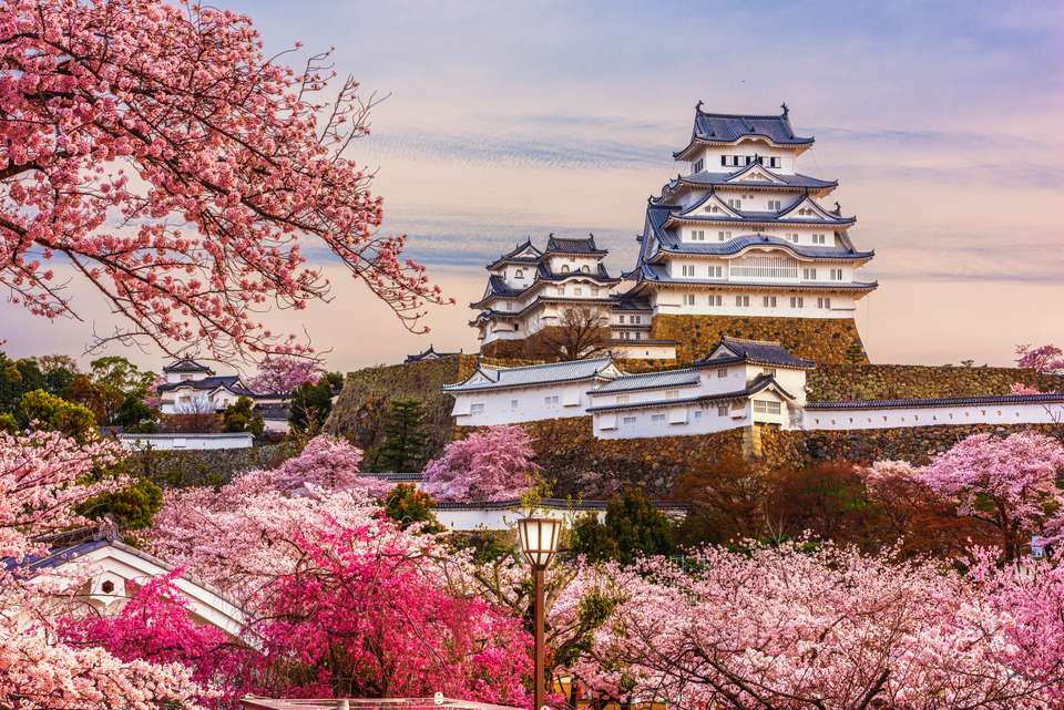 Best of Japan Tour - undefined - Image 3