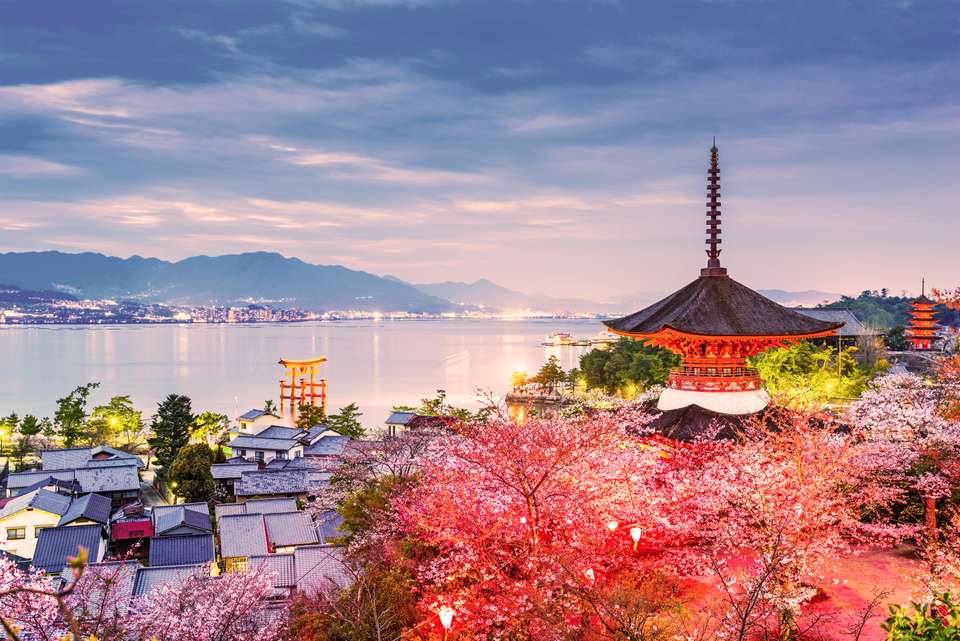 Best of Japan Tour - undefined - Image 4