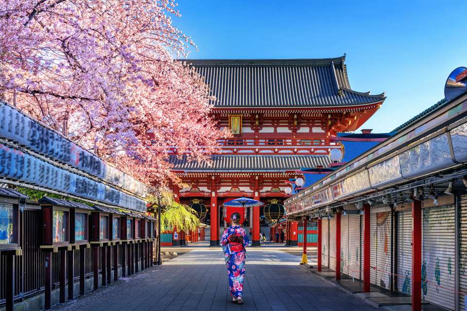 Best of Japan Tour - undefined - Image 5