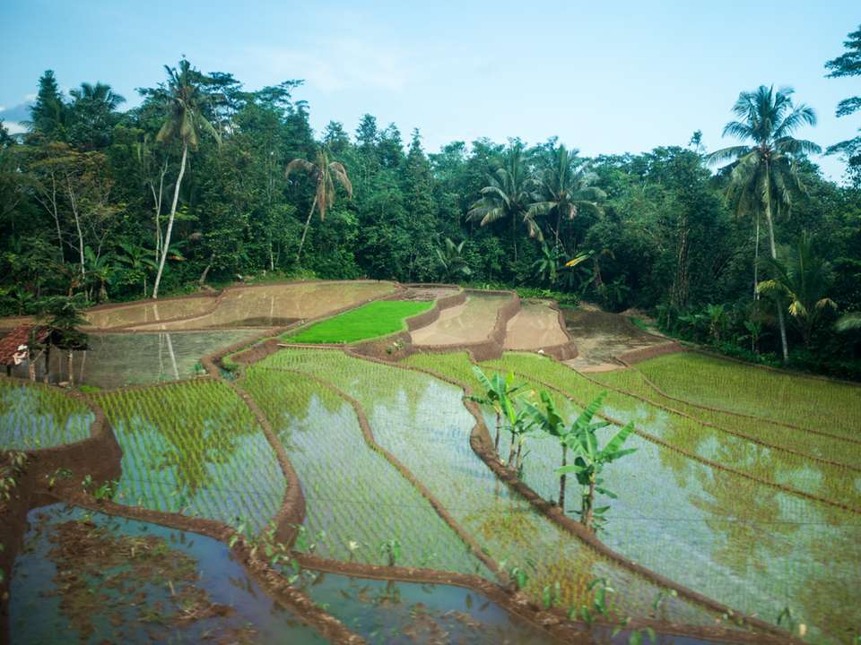 Best of Java - G Adventures - Indonesia