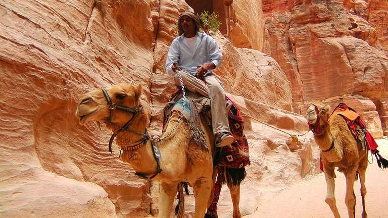 Best of Jordan trip - alternative tour available