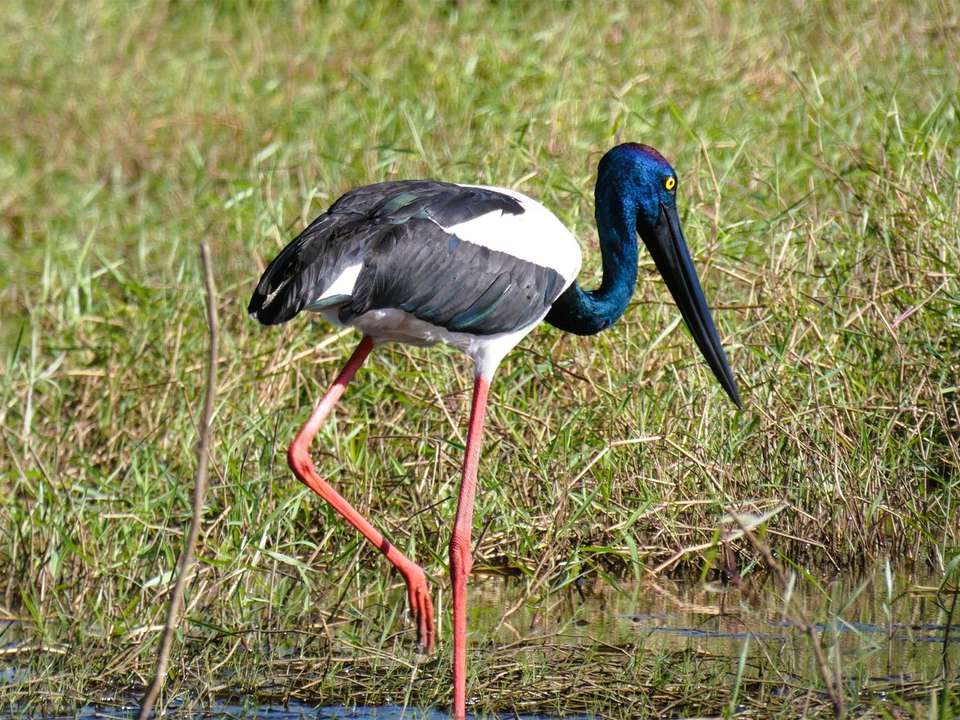 Best of Kakadu & Litchfield - 3 days - undefined - Image 1