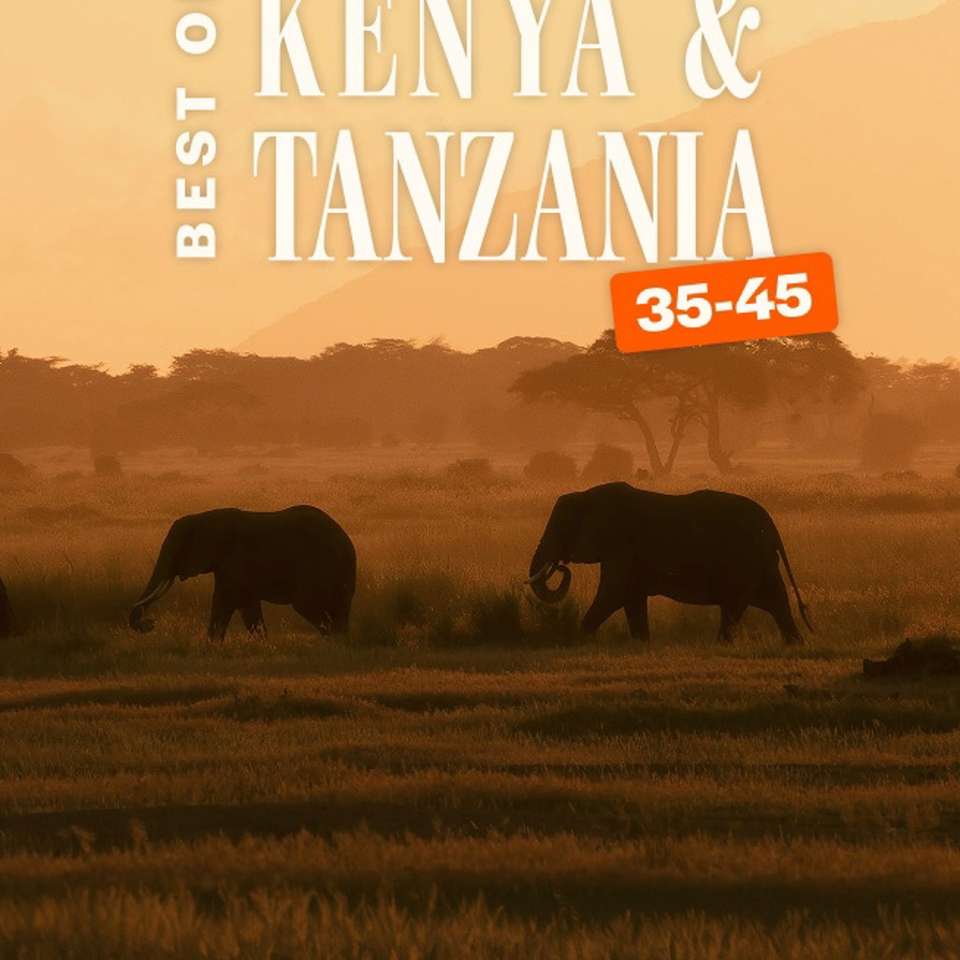 Best of Kenya and Tanzania 35 to 45 - undefined - Image 2