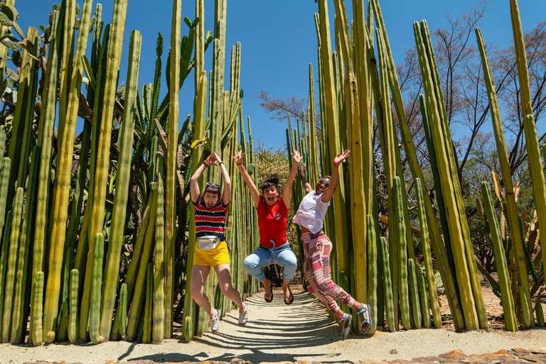 Best of Mexico trip - alternative tour available