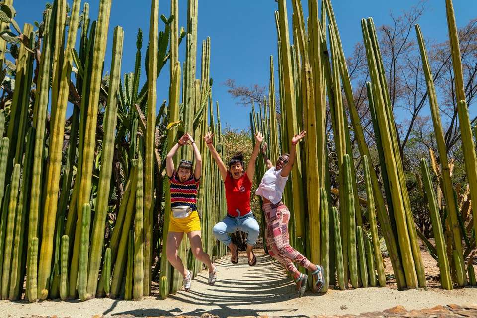 Best of Mexico & Costa Rica - Intrepid Travel - Mexico - Image 2