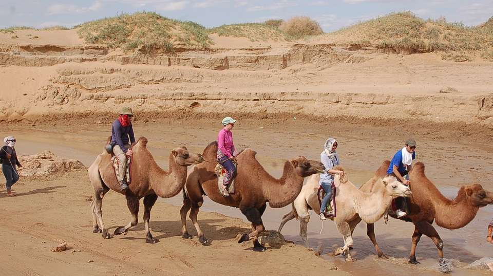 Mongolian Odyssey: Gobi Trails 15 Days - undefined - Image 3