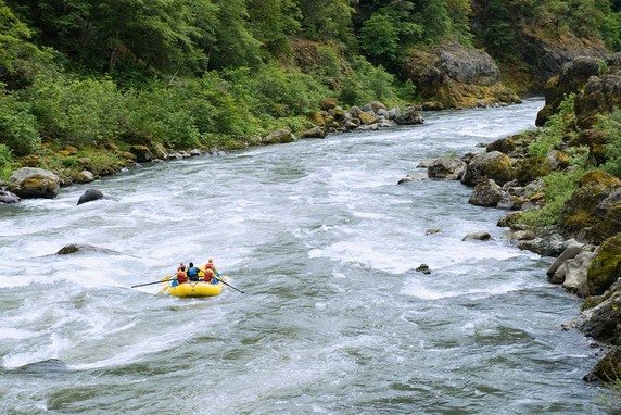 Image 5 of 7