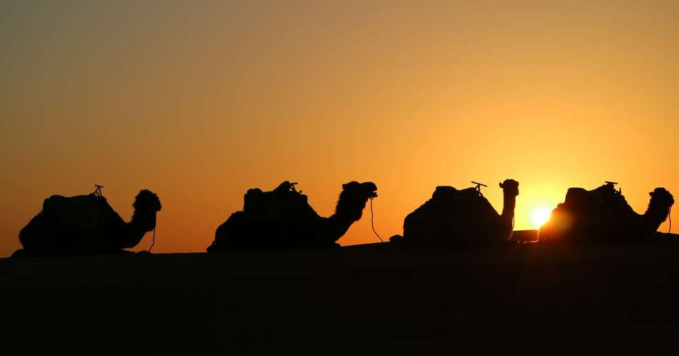 Best of Morocco - Explore - Morocco - Image 7