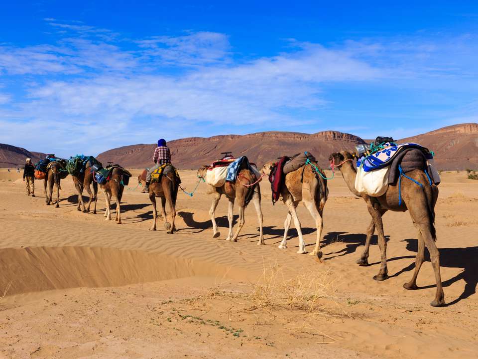 Best of Morocco - 13 days - On The Go Tours - Morocco - Image 3