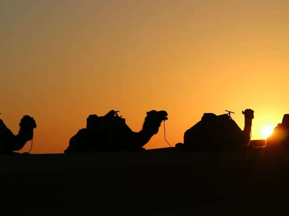 Best of Morocco - undefined - Image 11