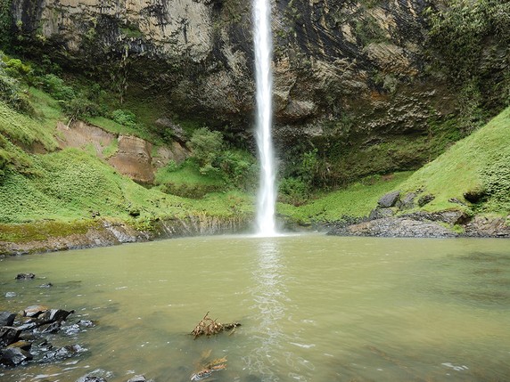 Image 4 of 21