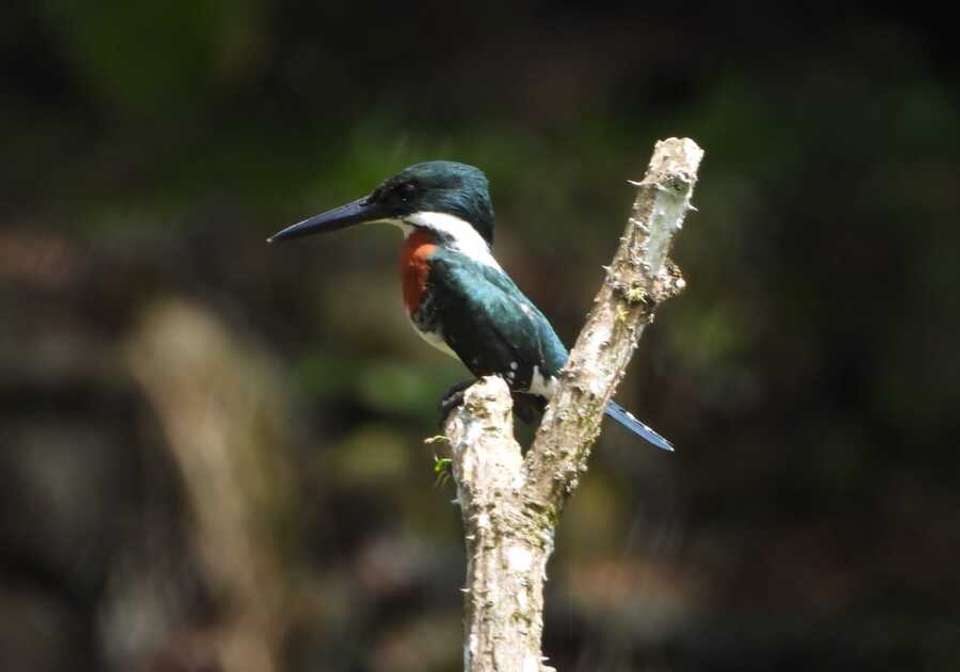 Best of Nicaragua - Indus Travels - Nicaragua - Image 5
