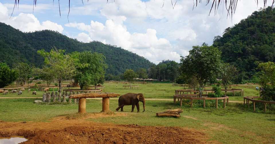 Best of Northern Thailand - Explore - Thailand - Image 9