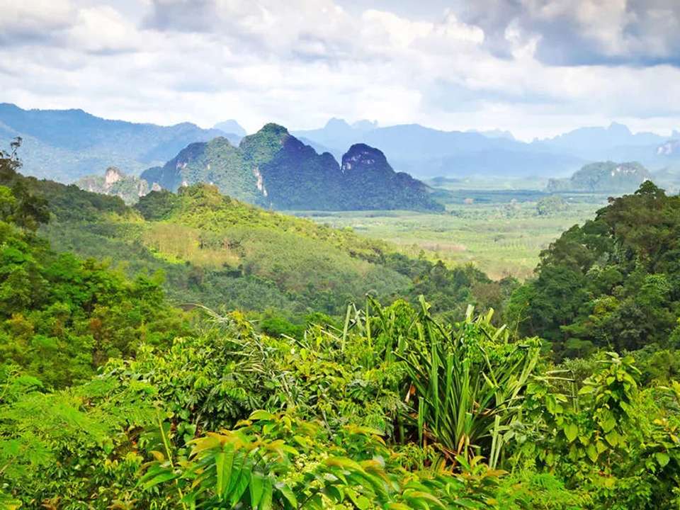 Best of Northern Thailand - undefined - Image 3