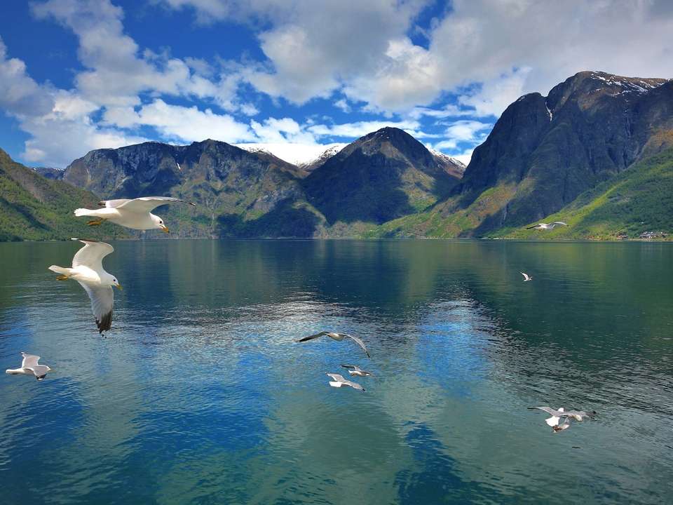 Best of Norway & Midnight Sun - 8 days - On The Go Tours - Norway - Image 5