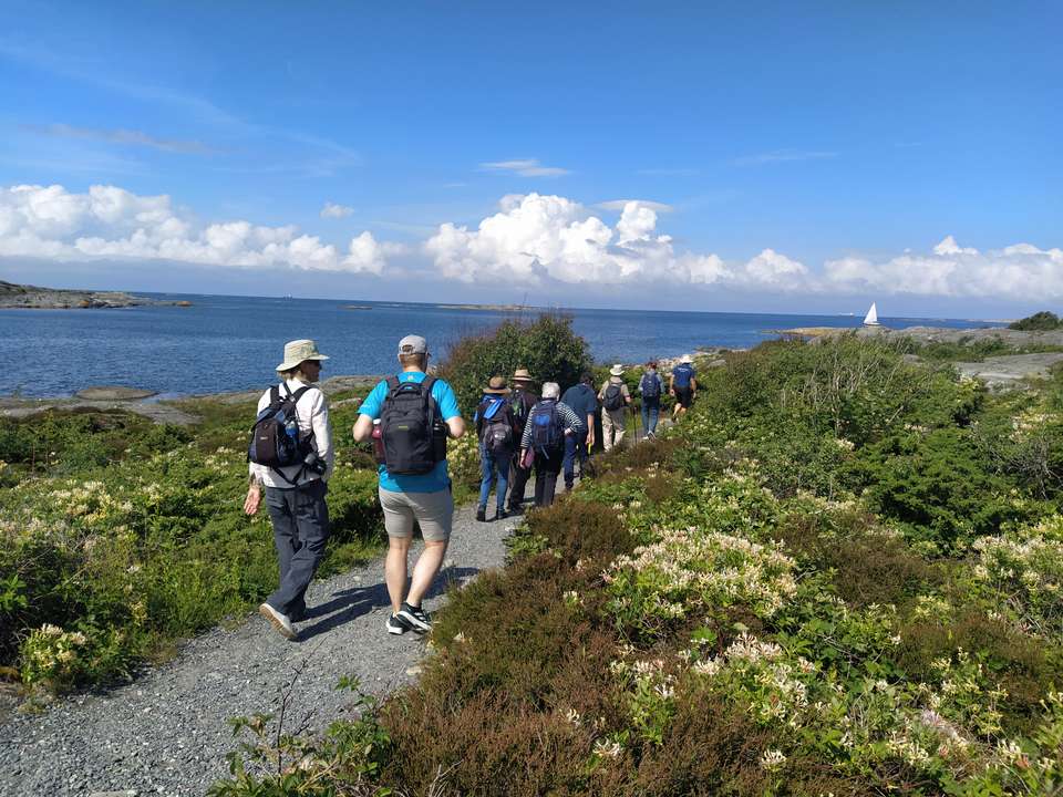 Best of Norway, Sweden & Finland - Exodus Adventure Travels - Norway - Image 6