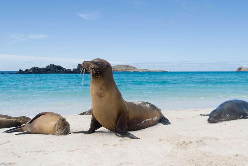 Best of Peru & Galapagos - Intrepid Travel - Peru - Image 5