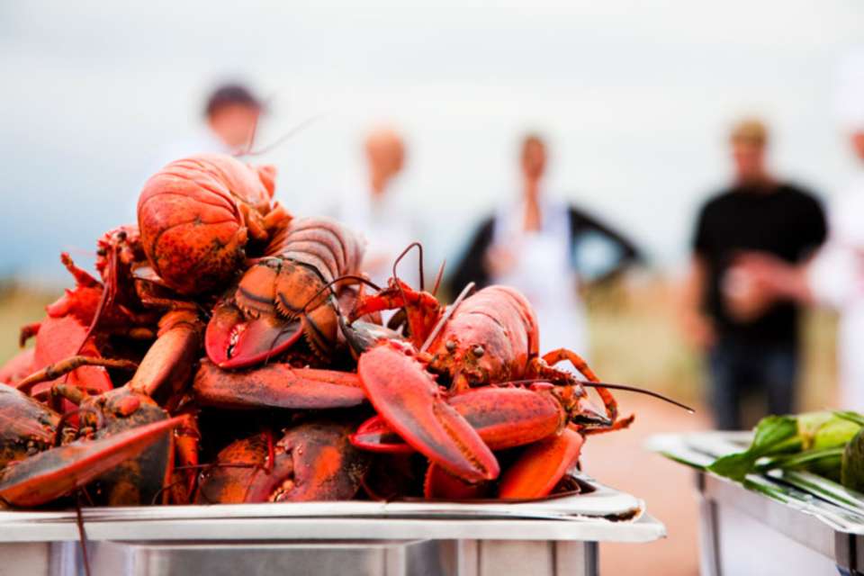Best of Prince Edward Island - Omega Tours - Canada - Image 5