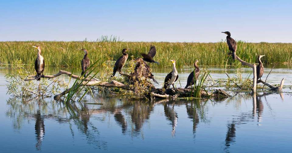 Best of Romania and the Danube Delta - Explore - Romania - Image 12