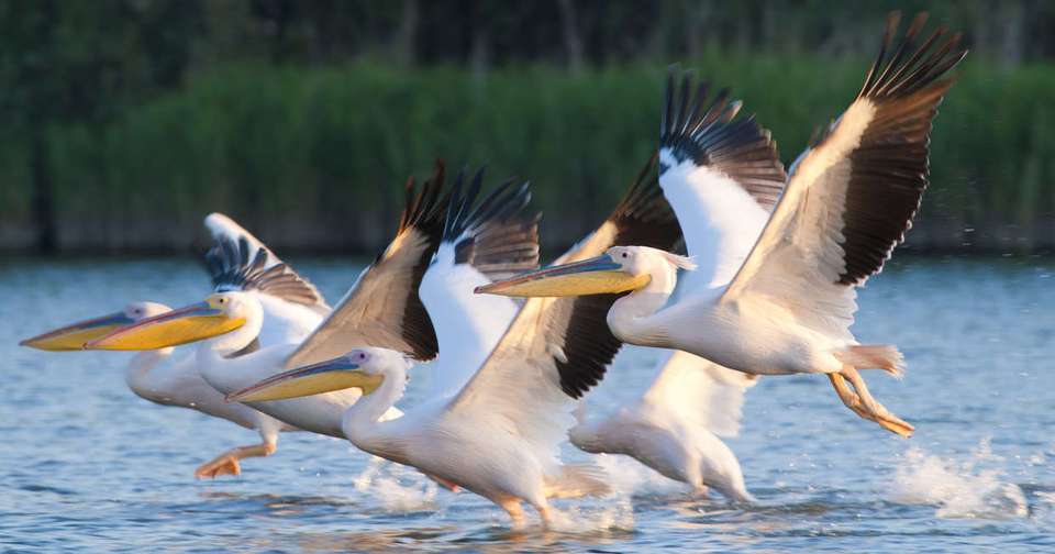 Best of Romania and the Danube Delta - Explore - Romania - Image 7