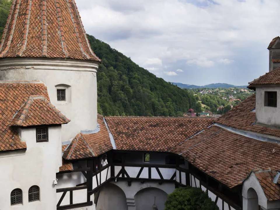 Image 15 of 21