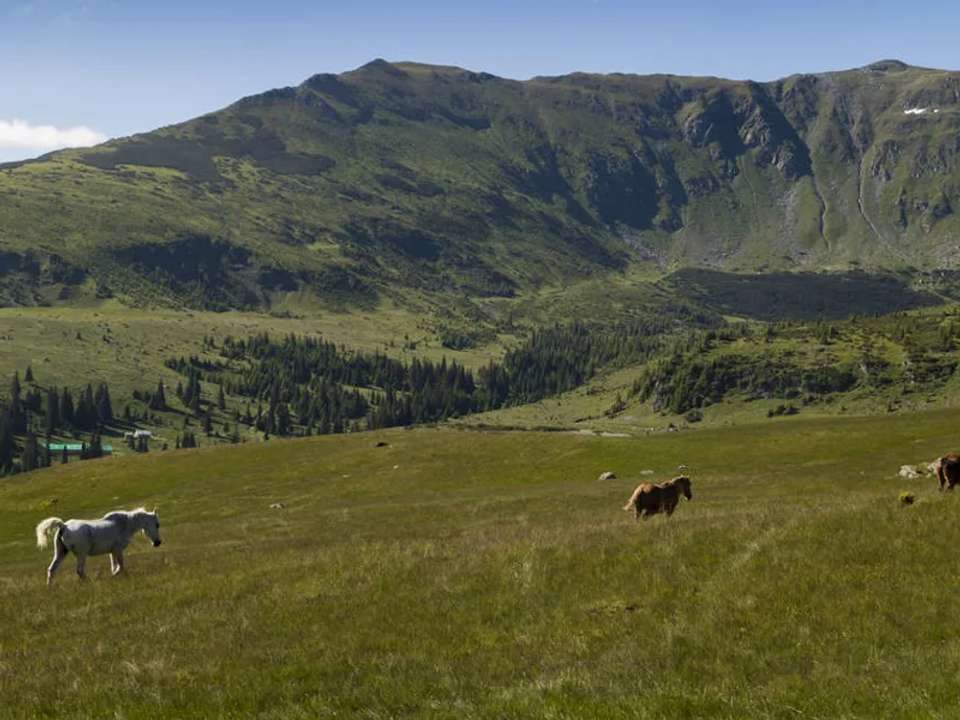 Image 10 of 21