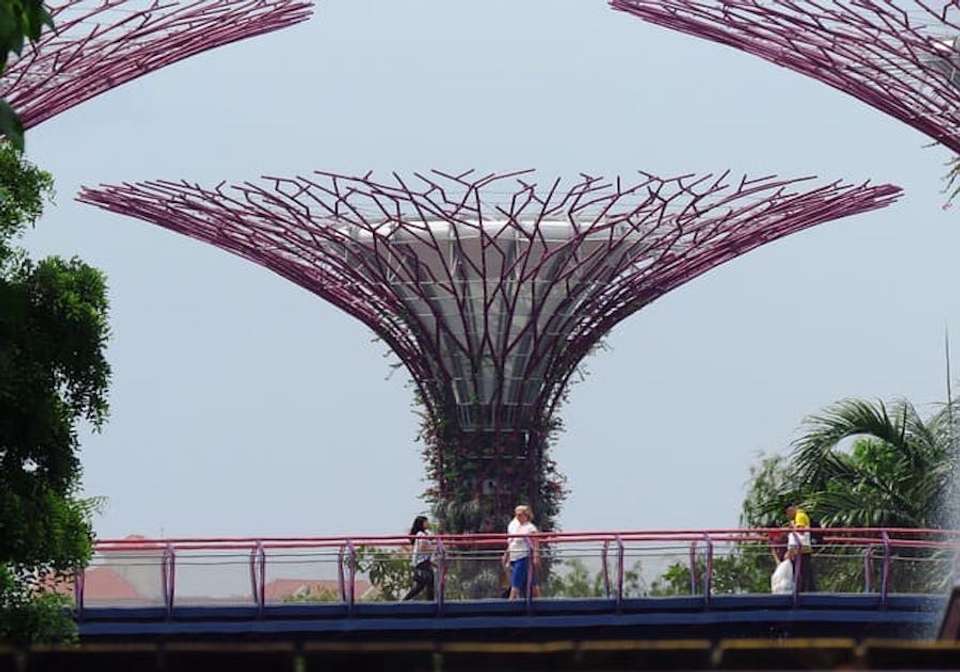 Best Of Singapore and Vietnam - undefined - Image 5