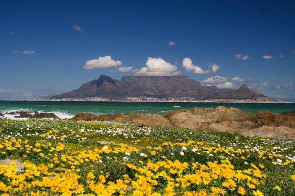 Best of South Africa - Indus Travels - South Africa - Image 3